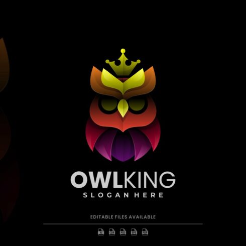 Owl King Colorful Logo cover image.