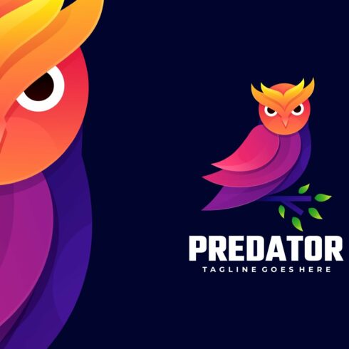 Owl Gradient Colorful Logo cover image.