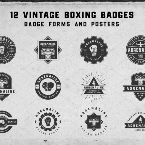 12 vintage boxing badges and forms cover image.