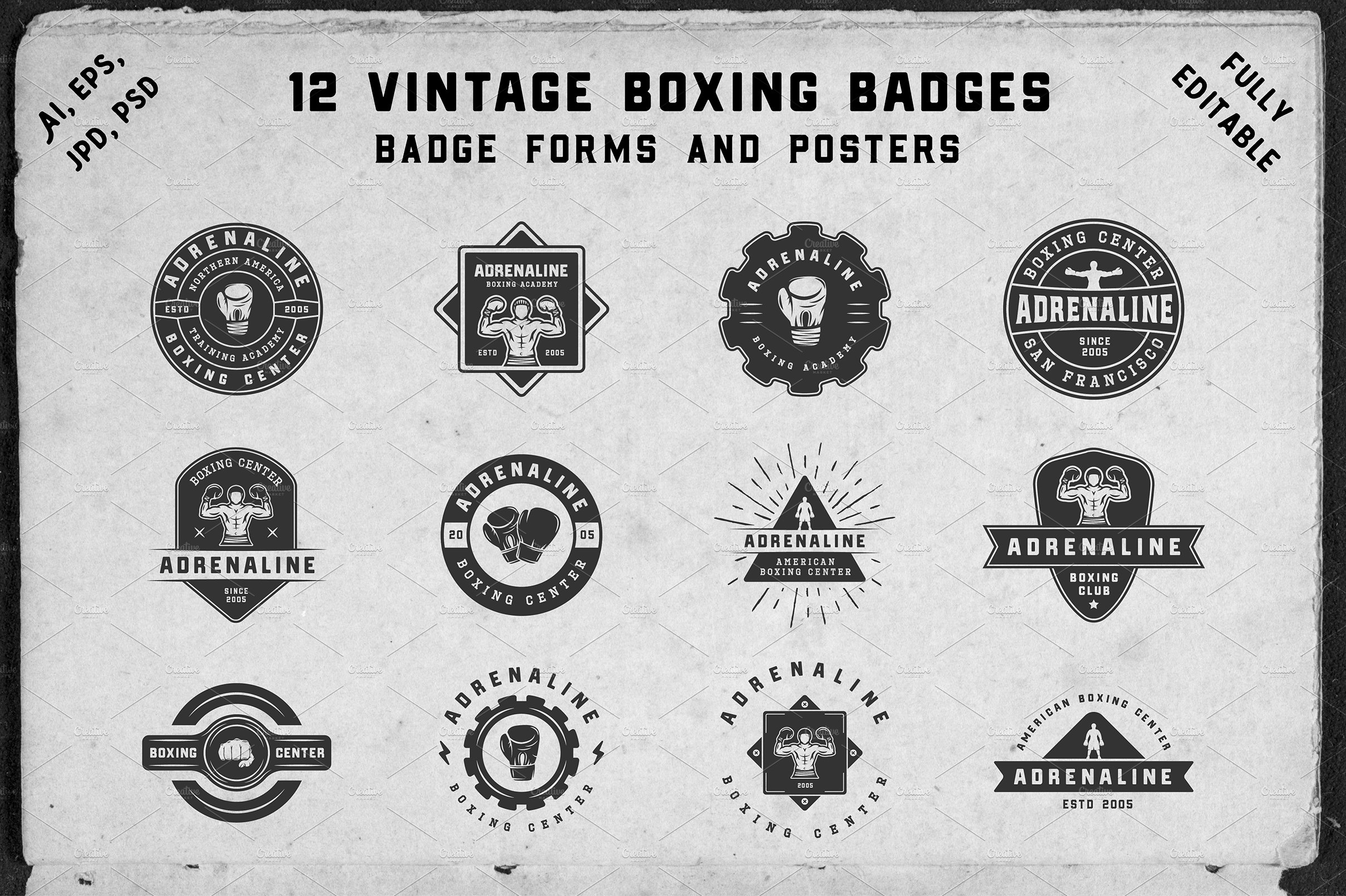 12 vintage boxing badges and forms cover image.