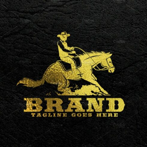 Reining Horse Logo cover image.