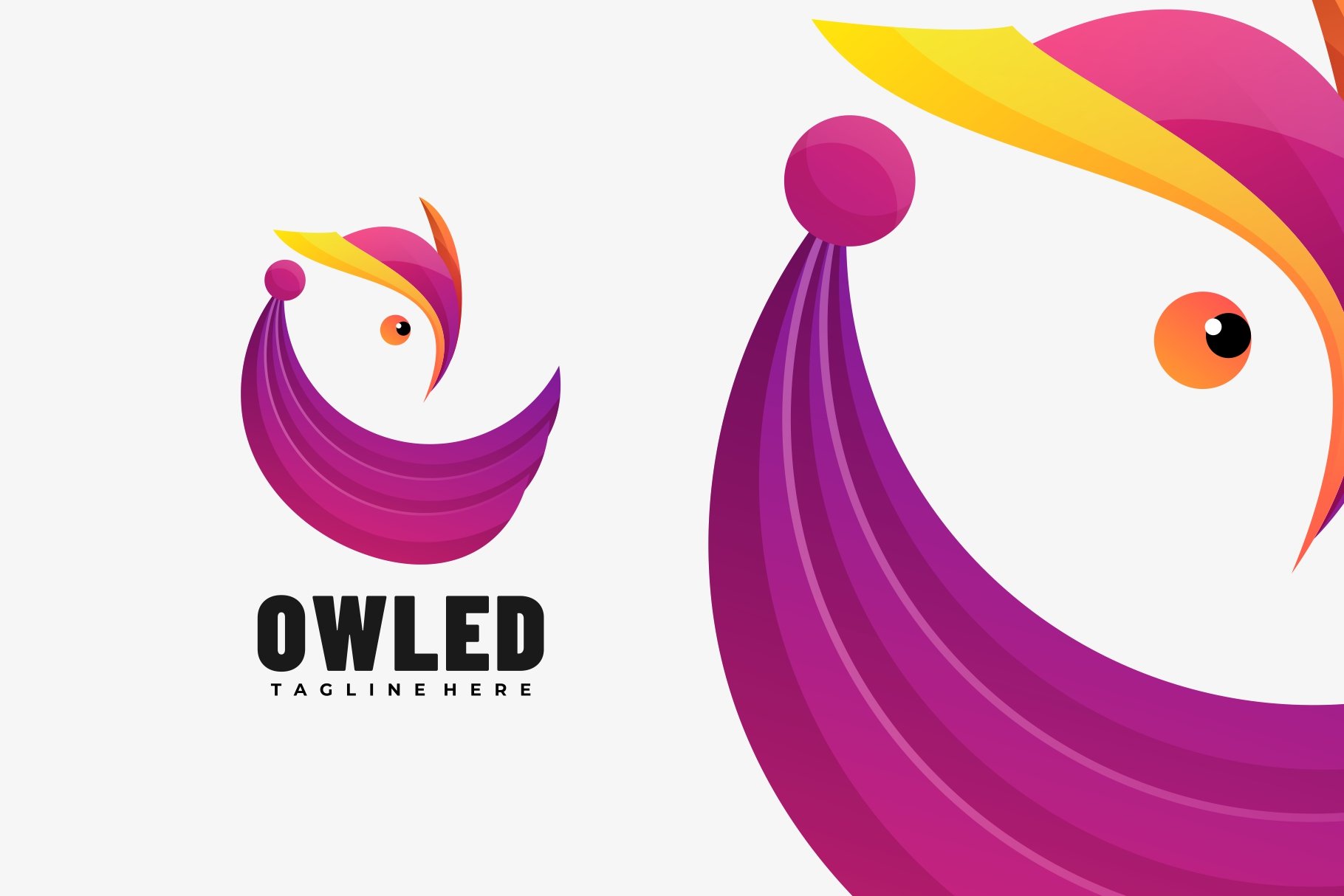 Owl Gradient Colorful Logo cover image.