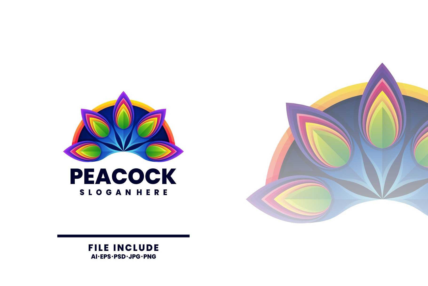 Peacock  Colorful Logo cover image.