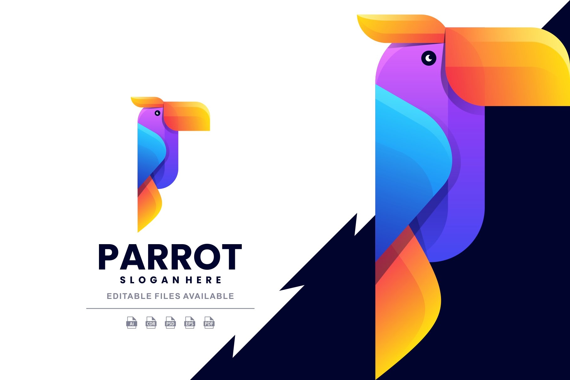 Parrot Colorful Logo cover image.