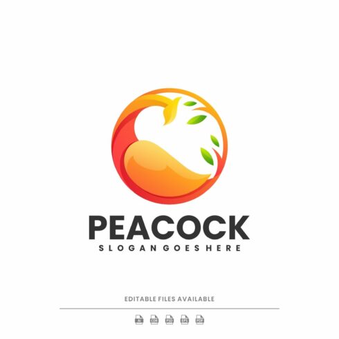 Peacock Colorful Logo cover image.