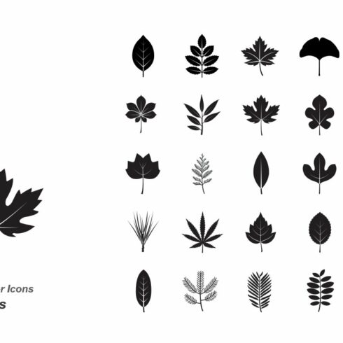 Leaves vector icons cover image.