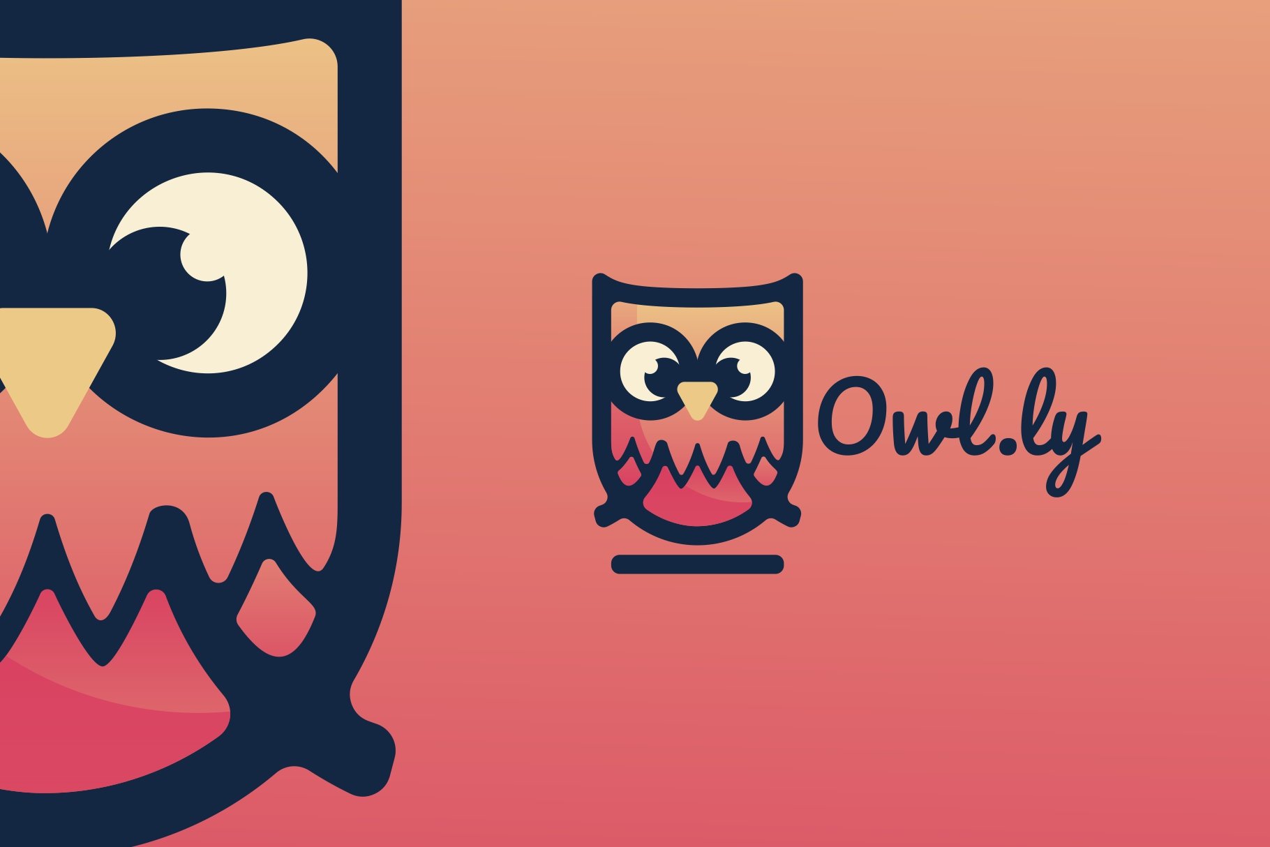 Owl Gradient Logo cover image.