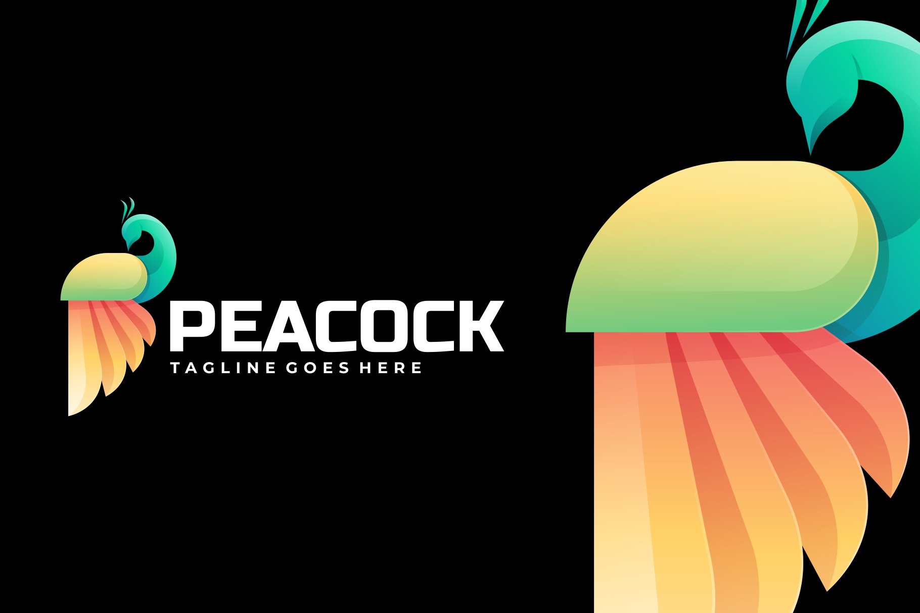 Peacock Colorful Logo cover image.