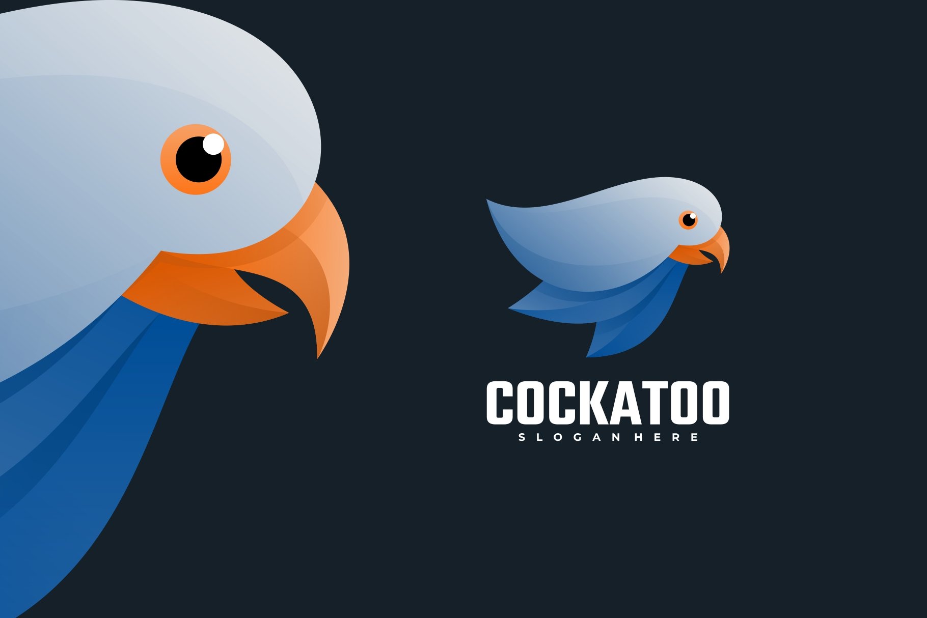 Cockatoo Gradient Colorful Logo cover image.
