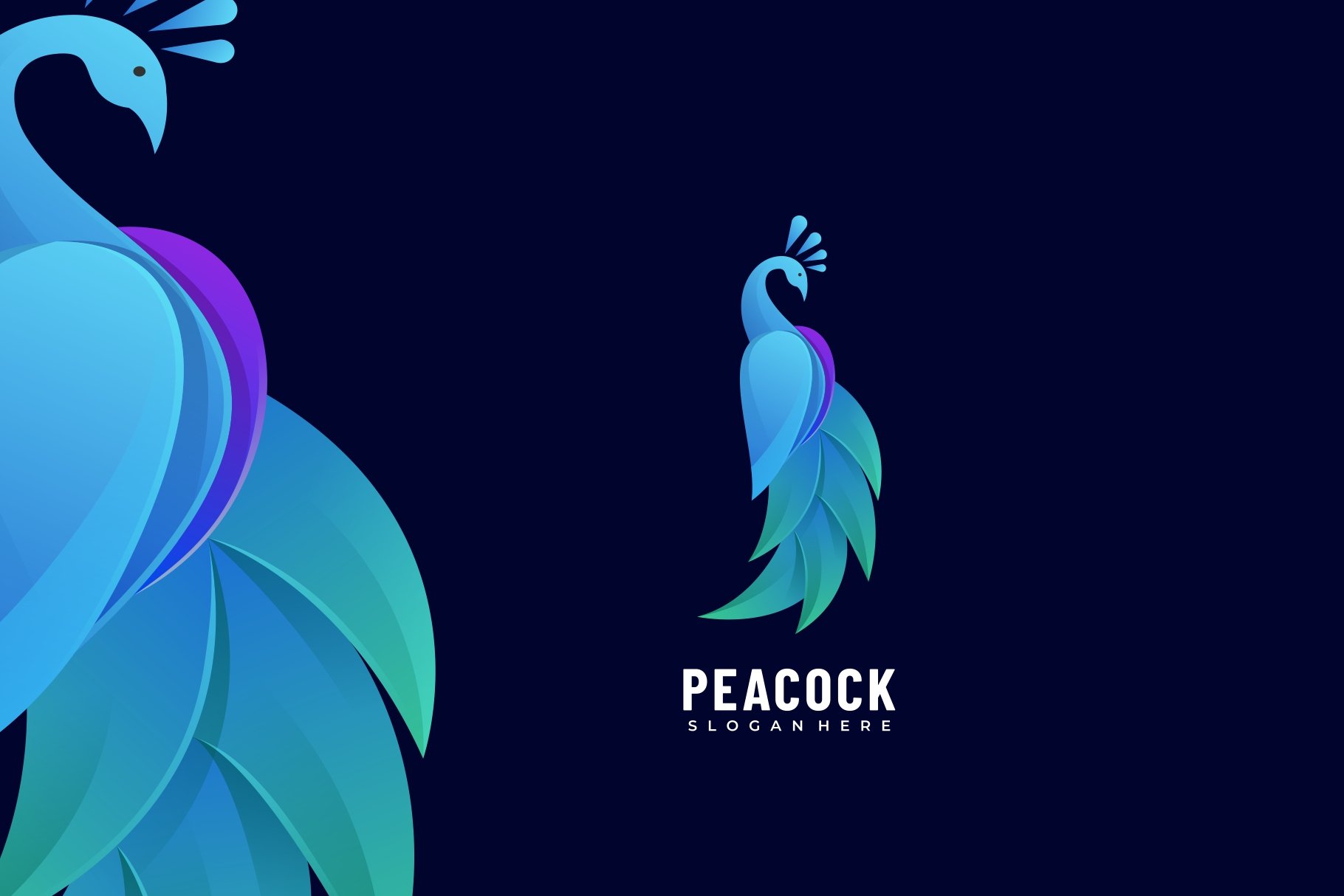 Peacock Gradient Colorful Logo cover image.