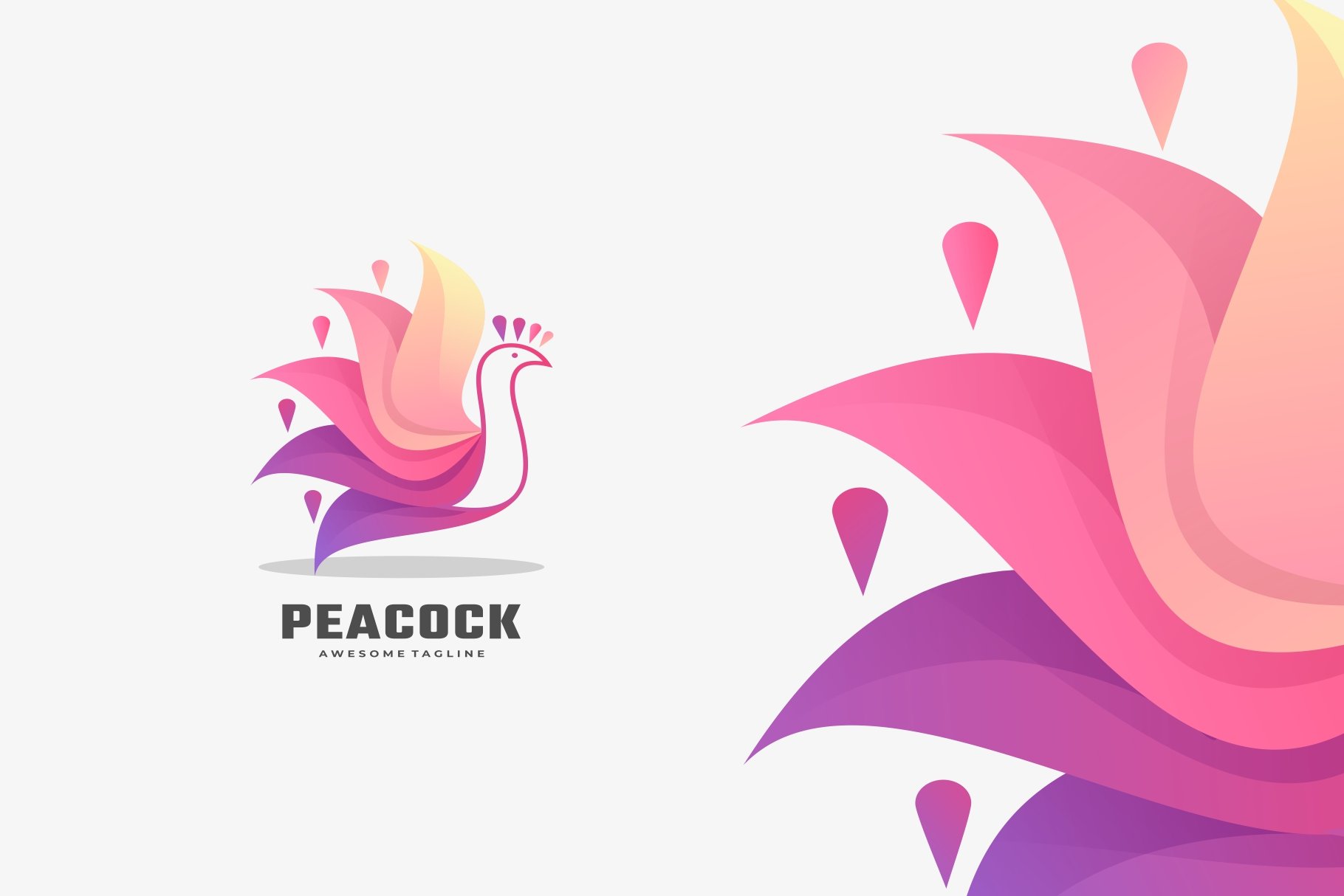 Peacock Gradient Logo cover image.
