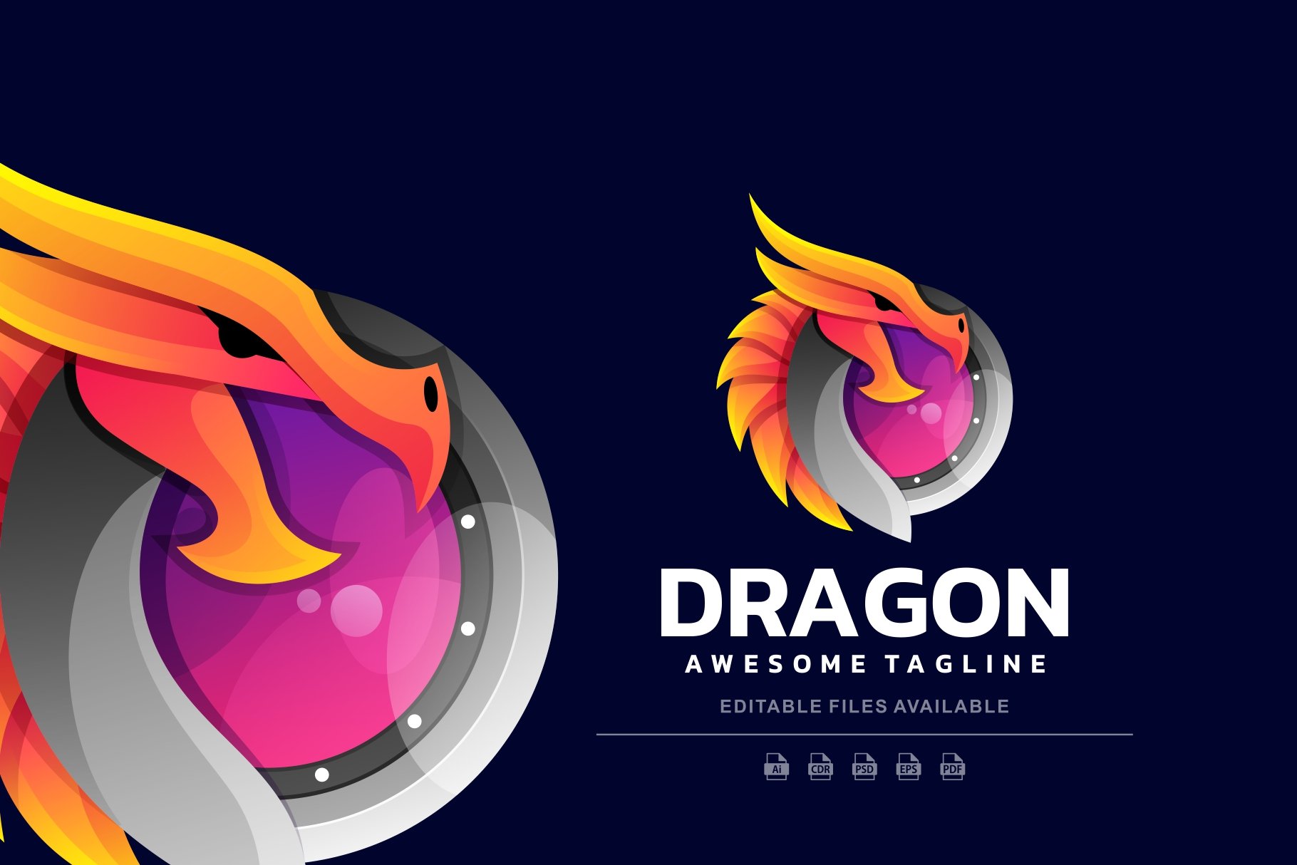 Dragon Colorful Logo cover image.