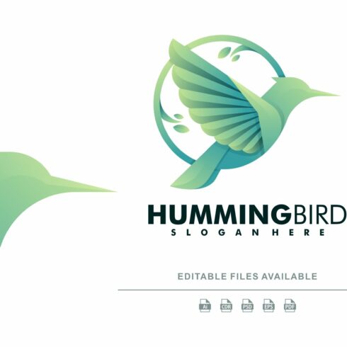 Hummingbird Colorful Logo cover image.