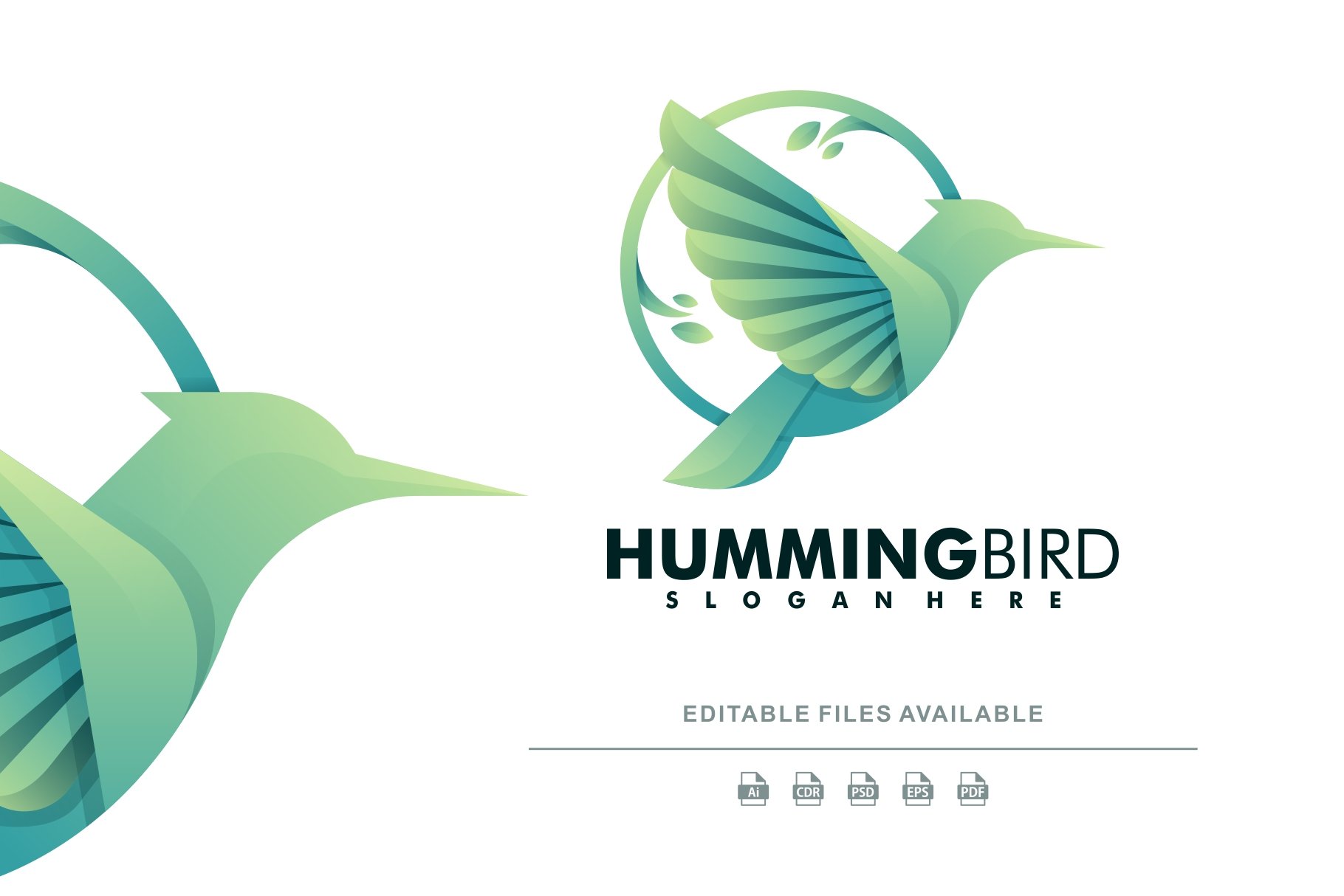 Hummingbird Colorful Logo cover image.