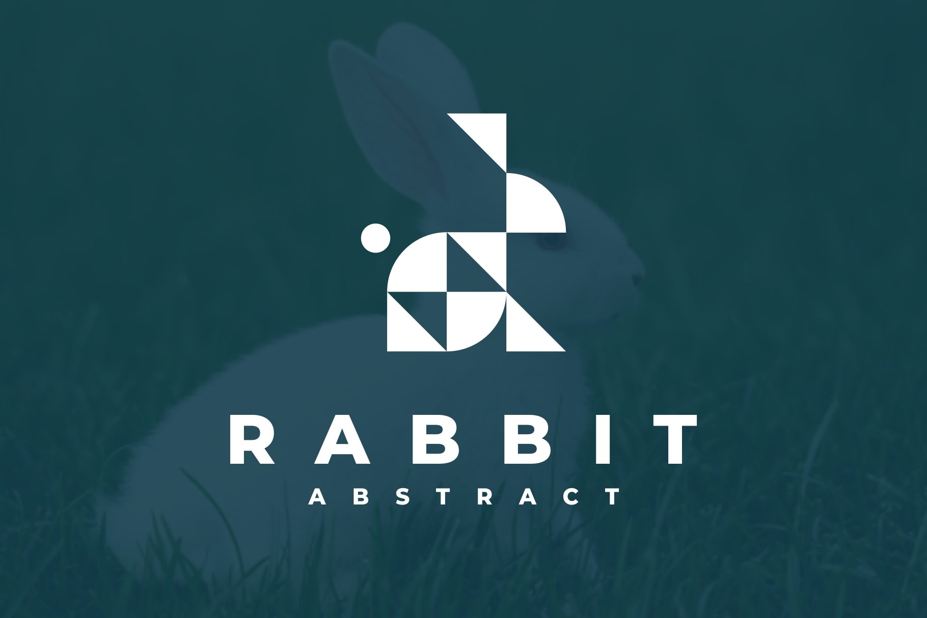 Abstract Rabbit Logo cover image.