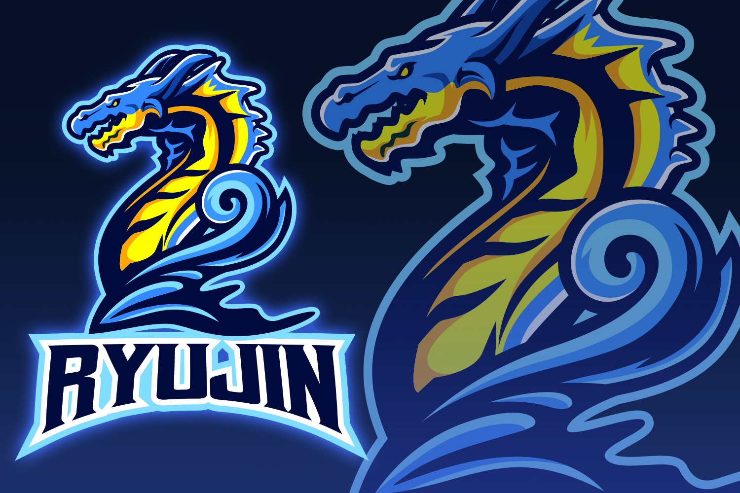 Ryujin Esport Logo cover image.