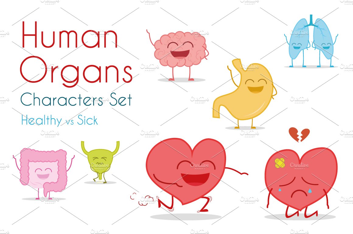 Human Organs Characters cover image.