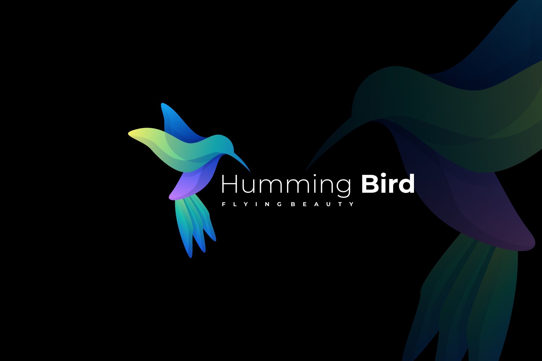Humming Bird Colorful Logo cover image.