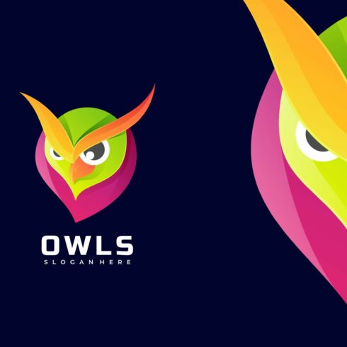 Owl Gradient Colorful Logo cover image.