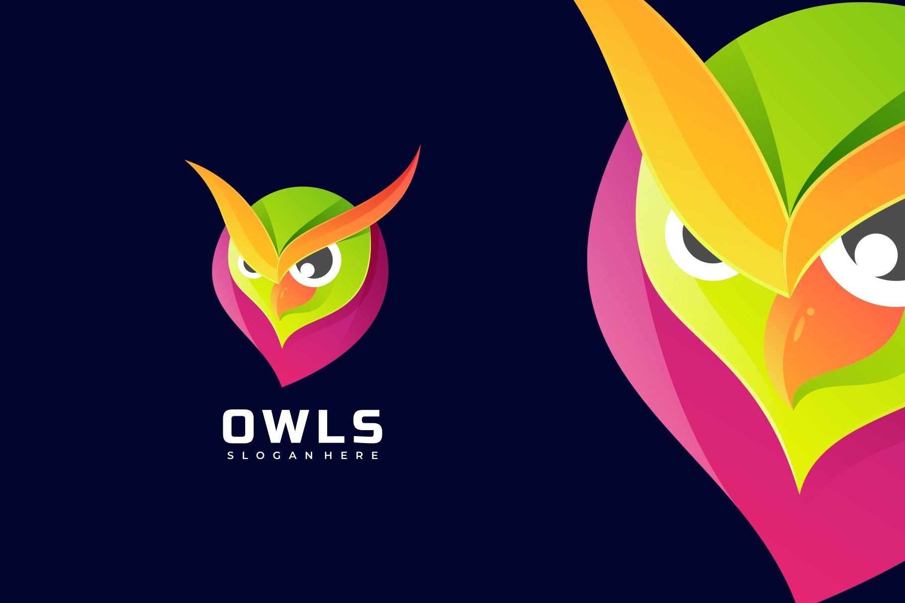 Owl Gradient Colorful Logo cover image.