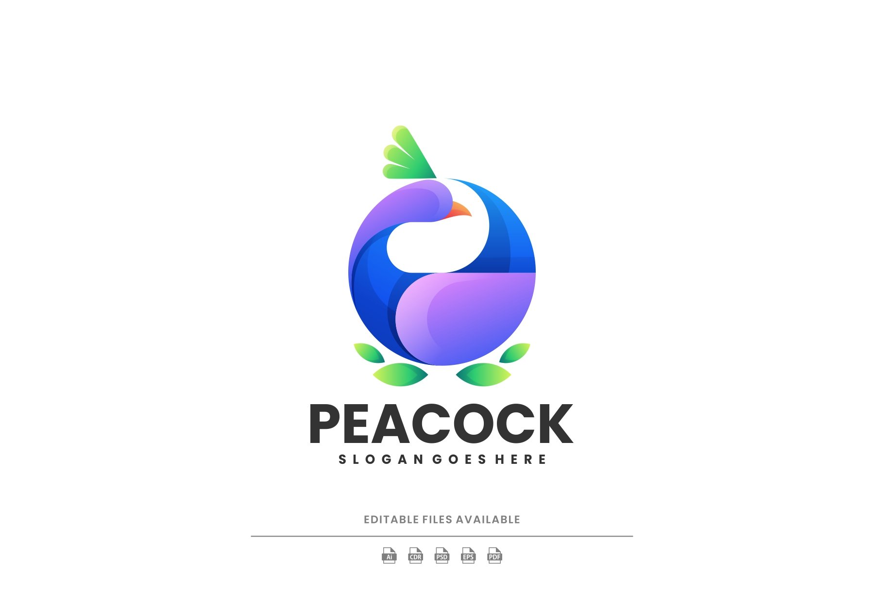 Peacock Colorful Logo cover image.