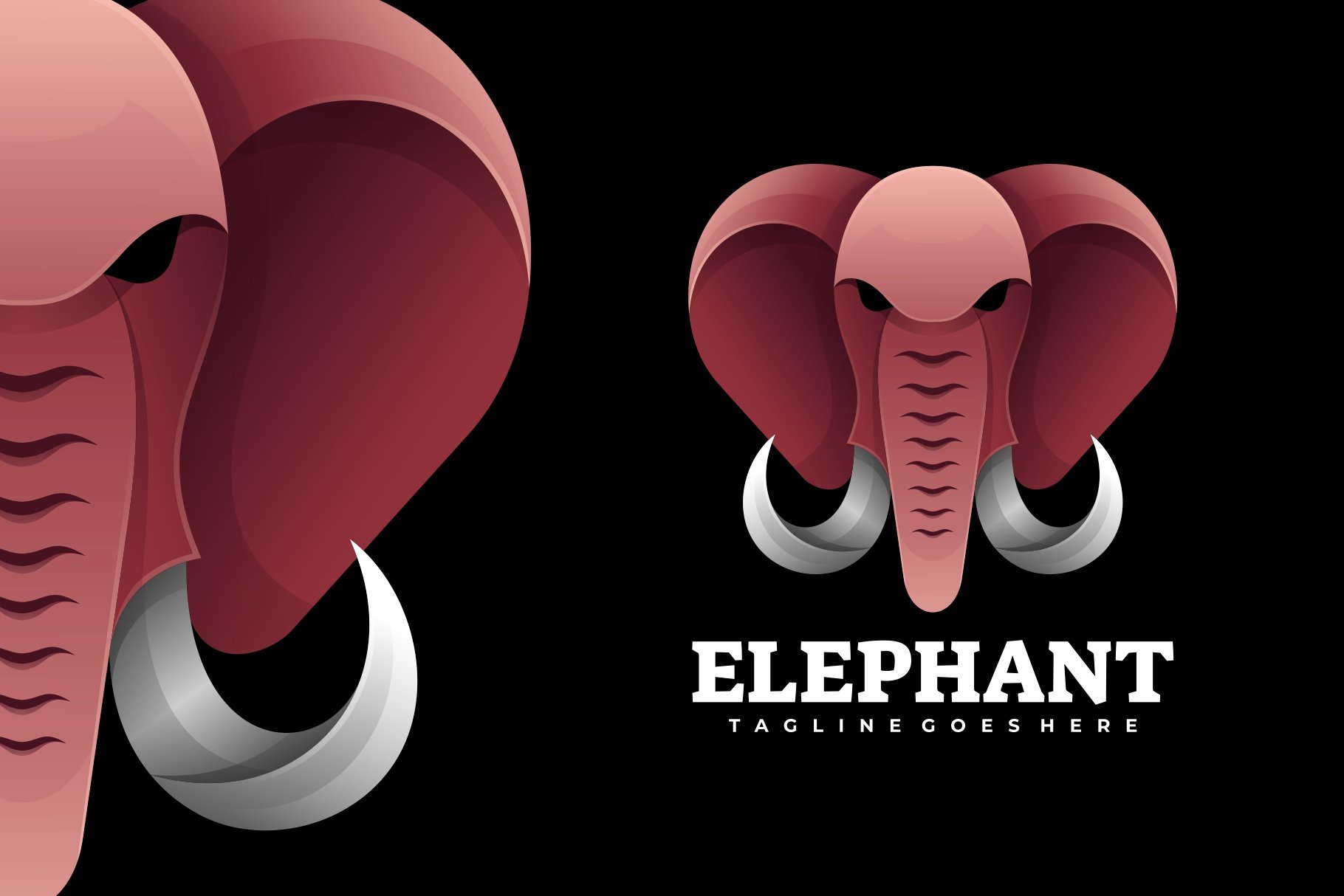 Elephant Gradient Logo cover image.