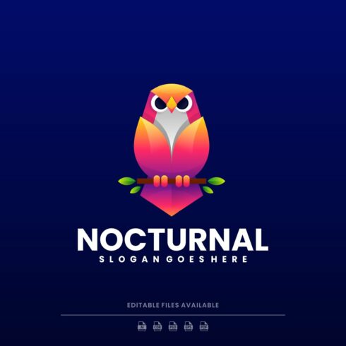 Nocturnal Colorful Logo cover image.