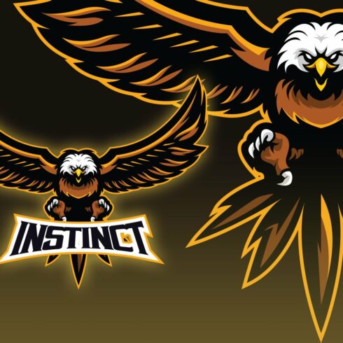 Hawk Esport Logo cover image.