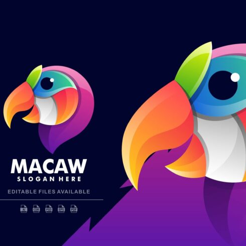 Macaw Colorful Logo cover image.