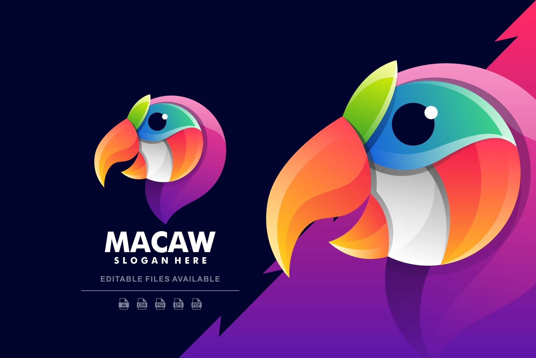 Macaw Colorful Logo cover image.