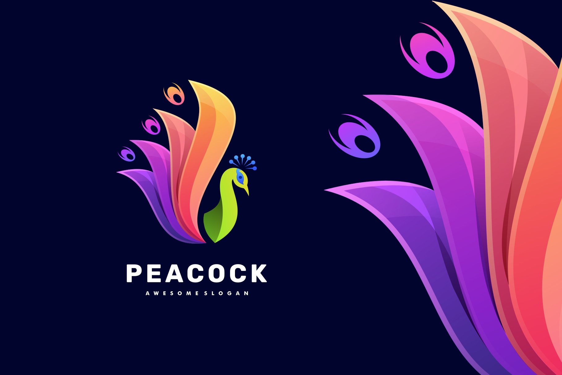 Peacock Colorful Logo cover image.