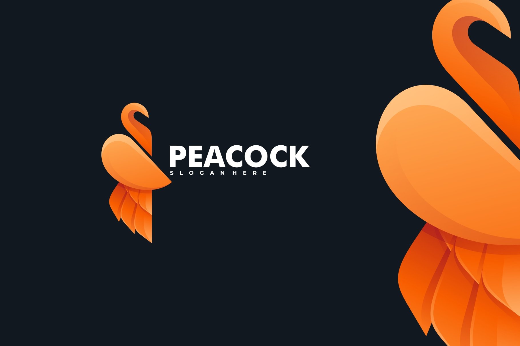 Peacock Gradient Logo cover image.