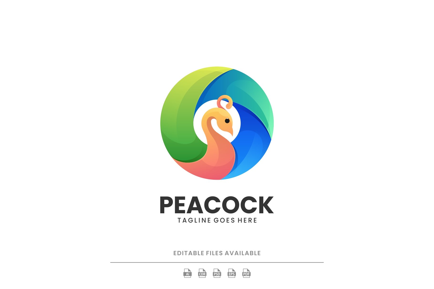 Peacock Colorful Logo cover image.