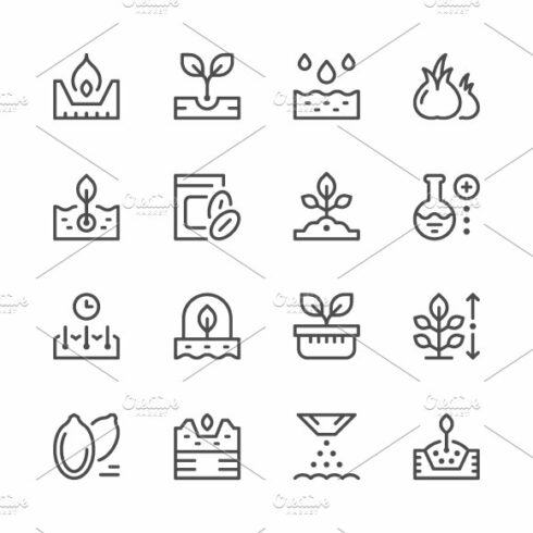 Set line icons of seed and seedling cover image.