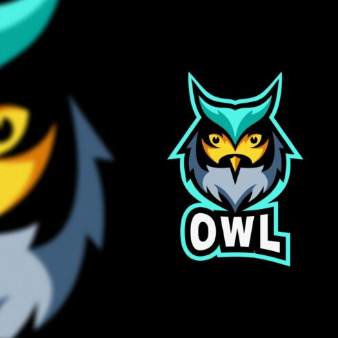 Owl Sport and E-Sport Logo cover image.