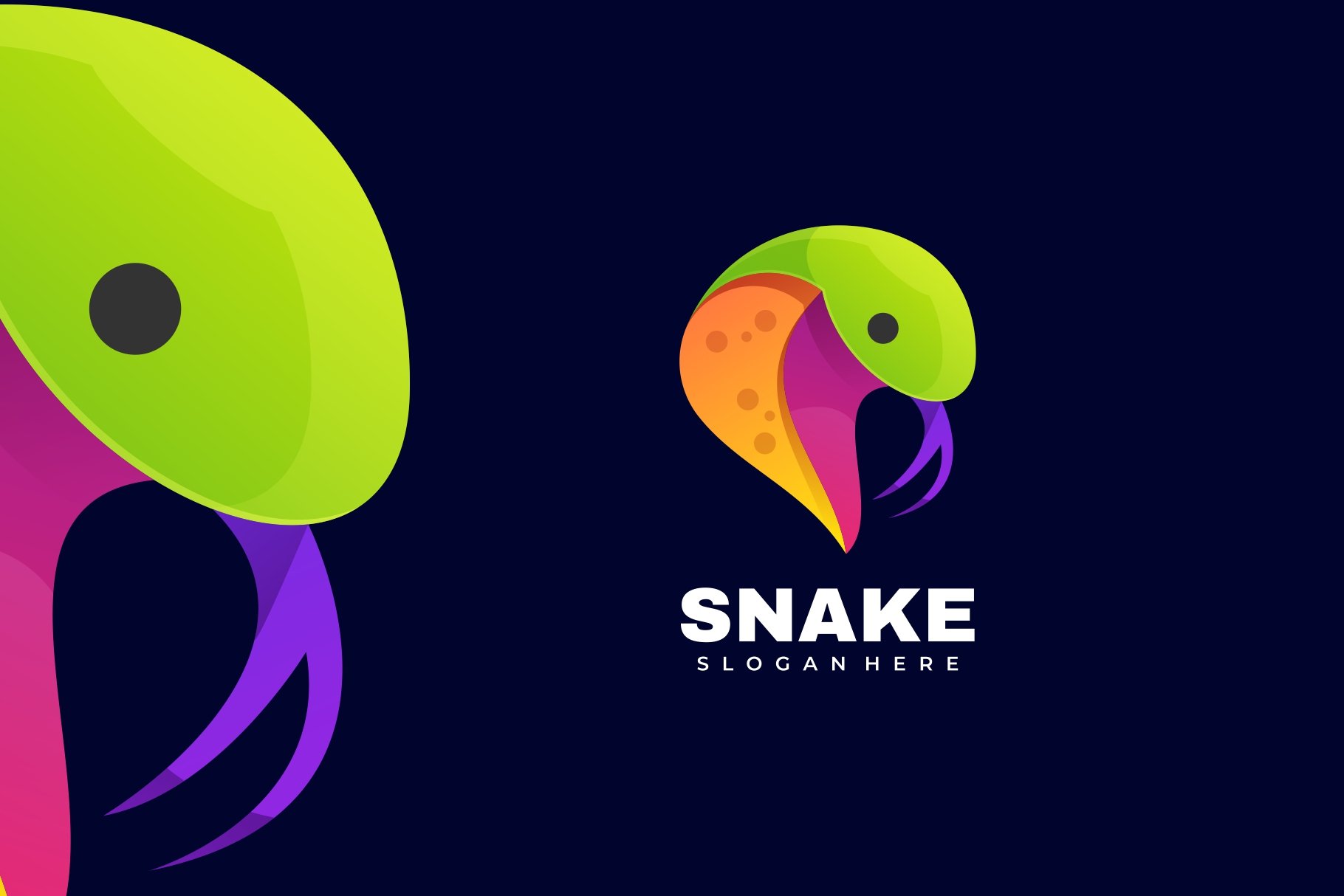 Snake Gradient Colorful Logo cover image.