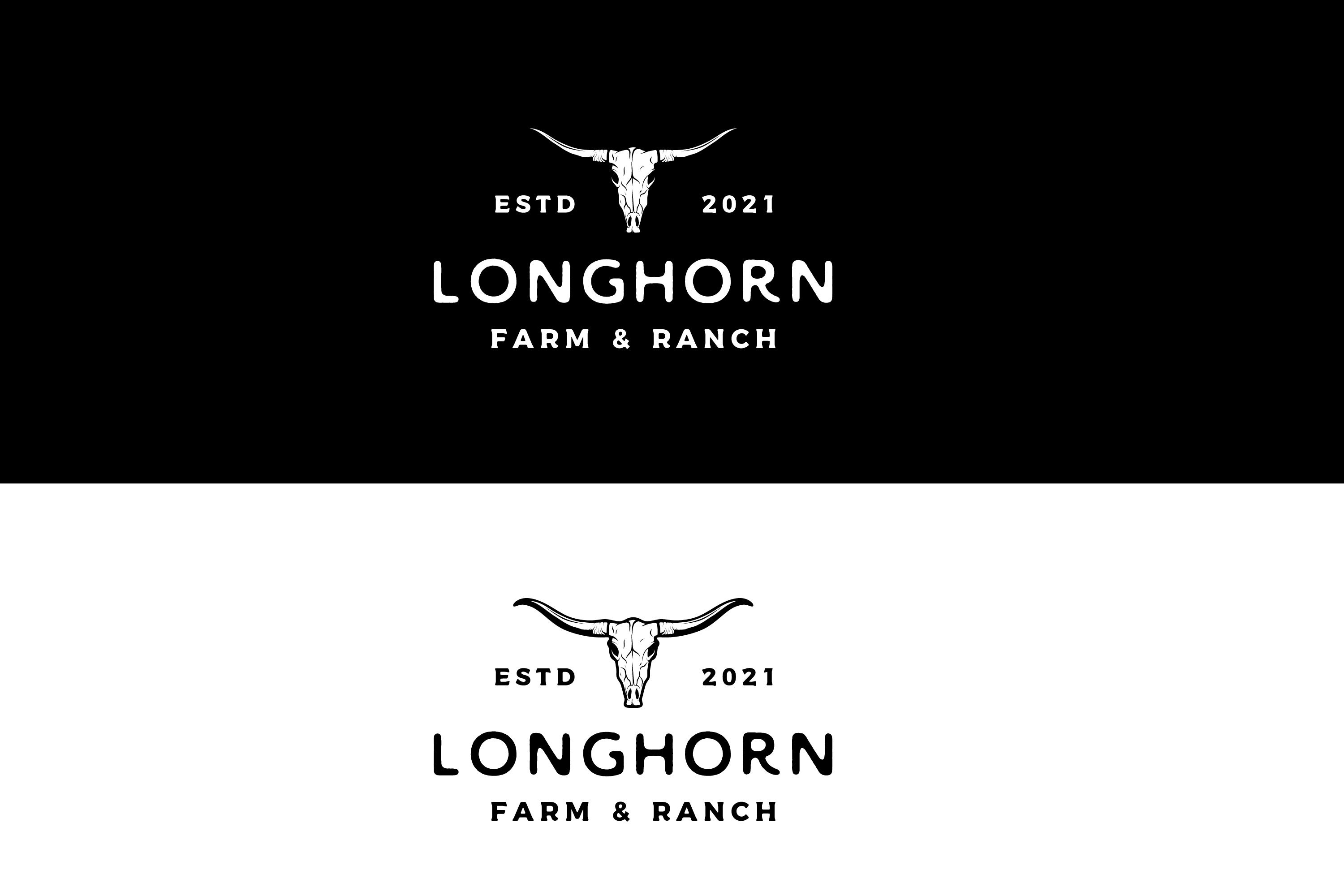 Texas Longhorn logo design cover image.