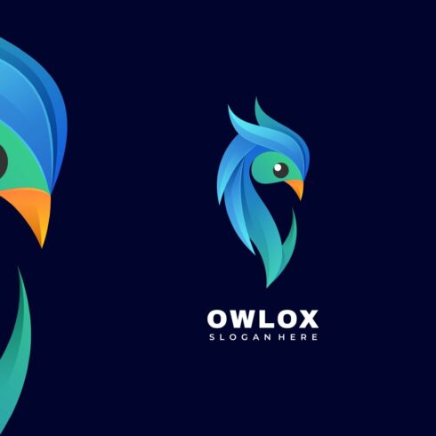 Owl Gradient Colorful Logo cover image.