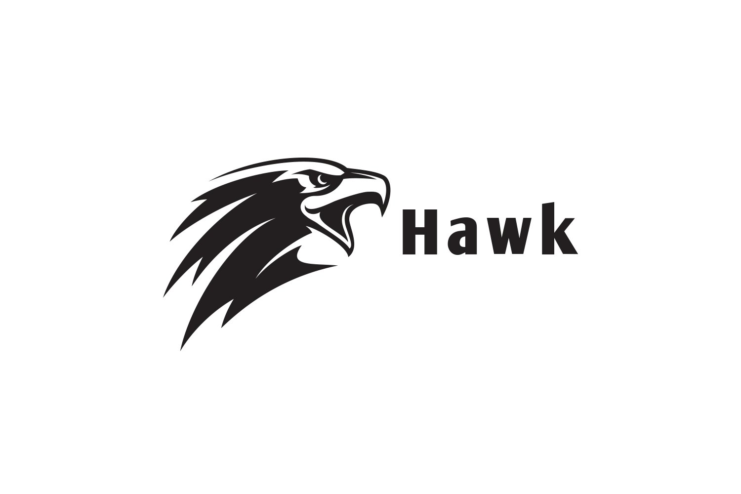 Hawk Logo Design cover image.