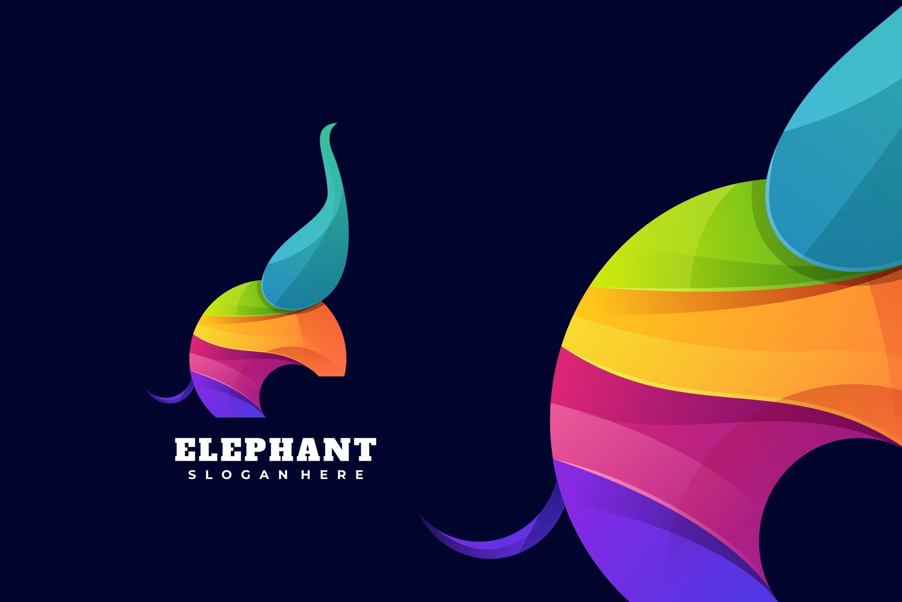 Elephant Gradient Colorful Logo cover image.