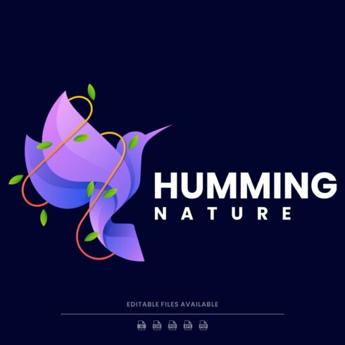 Humming Bird Colorful Logo cover image.