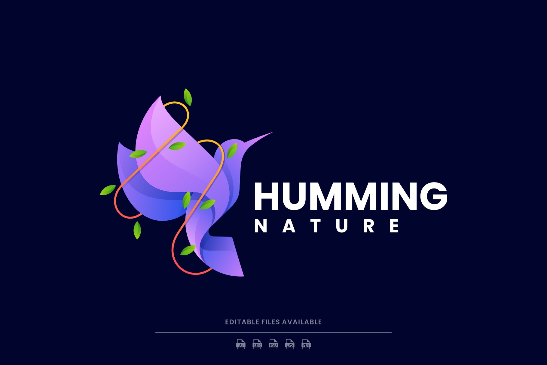 Humming Bird Colorful Logo cover image.