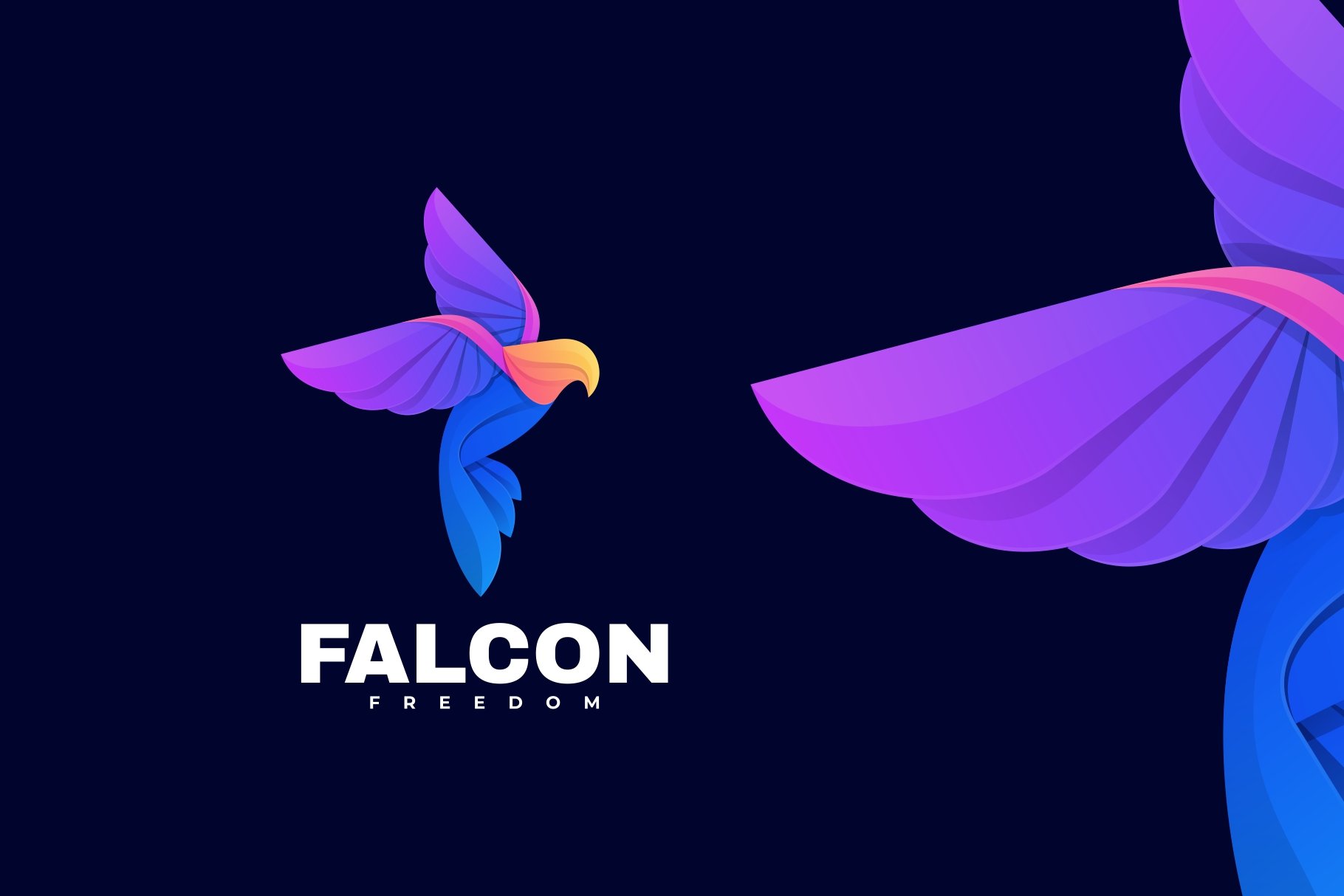 Falcon Gradient Colorful Logo cover image.