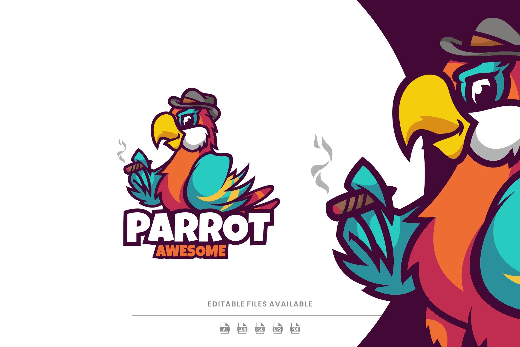 Smoking Parrot Mascot Logo cover image.