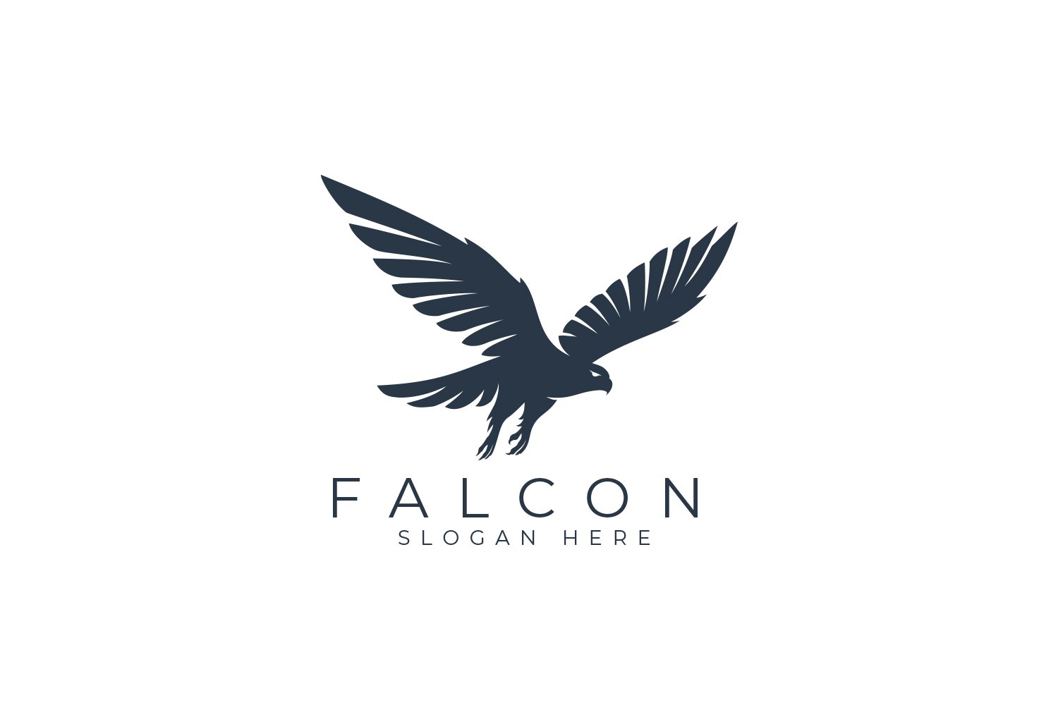 Hawk Fly Logo Design cover image.