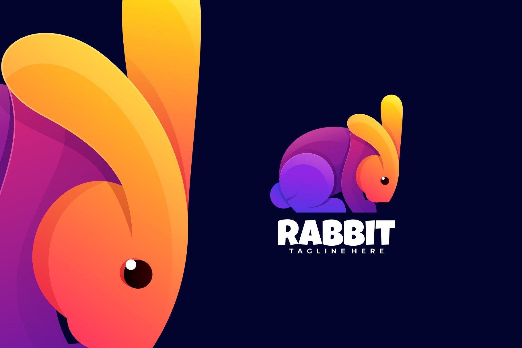 Rabbit Colorful Logo cover image.