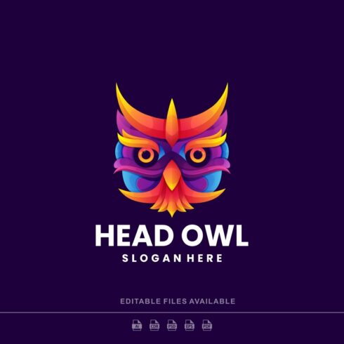 Head Owl Colorful Logo cover image.