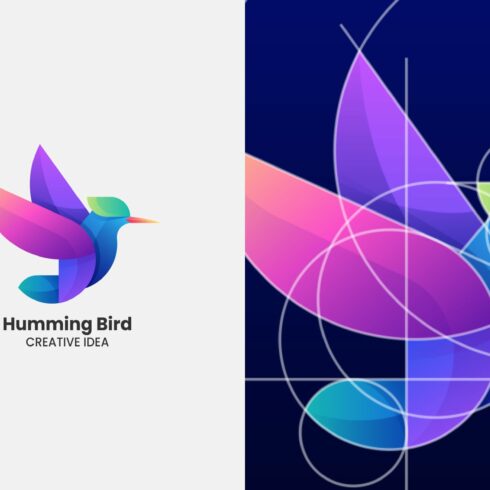 Hummingbird Gradient Colorful Logo cover image.