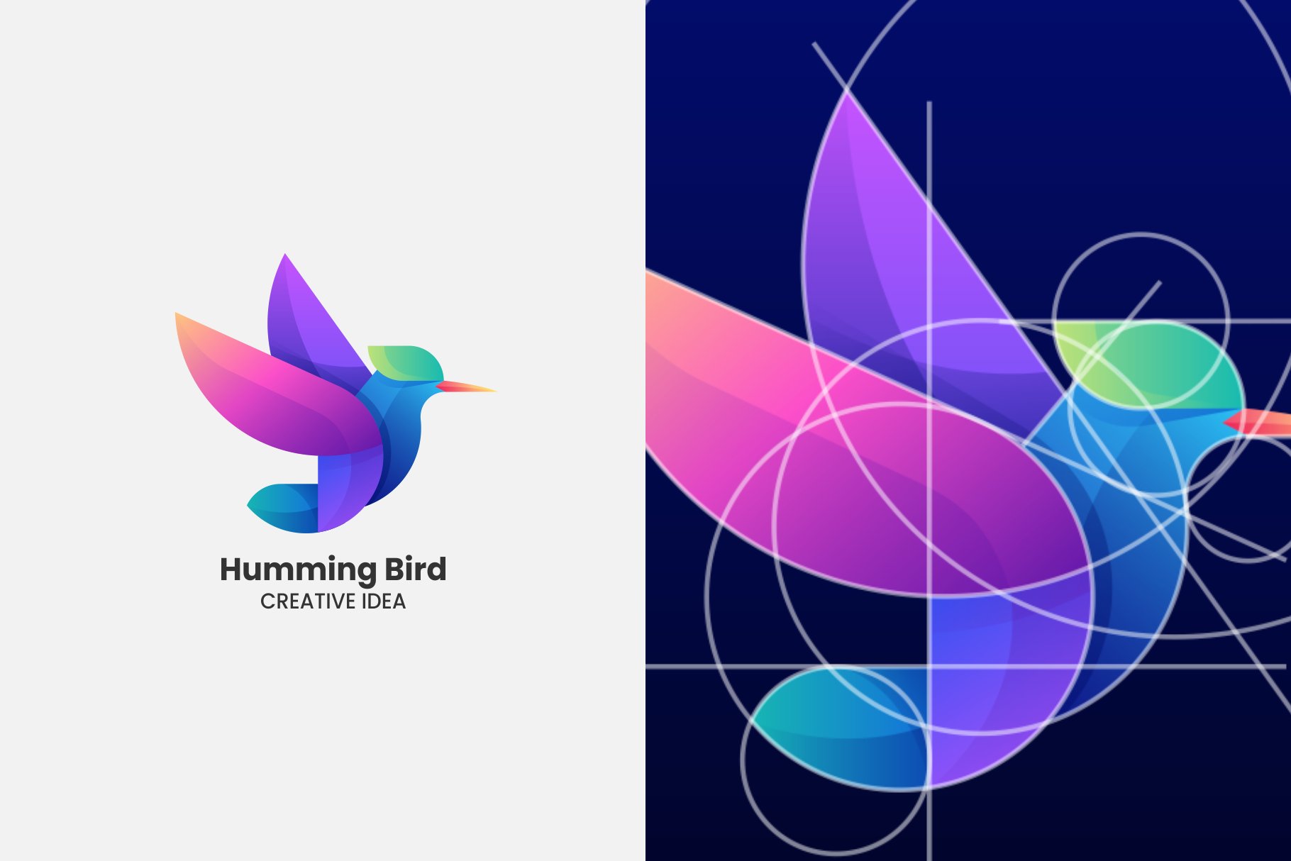Hummingbird Gradient Colorful Logo cover image.
