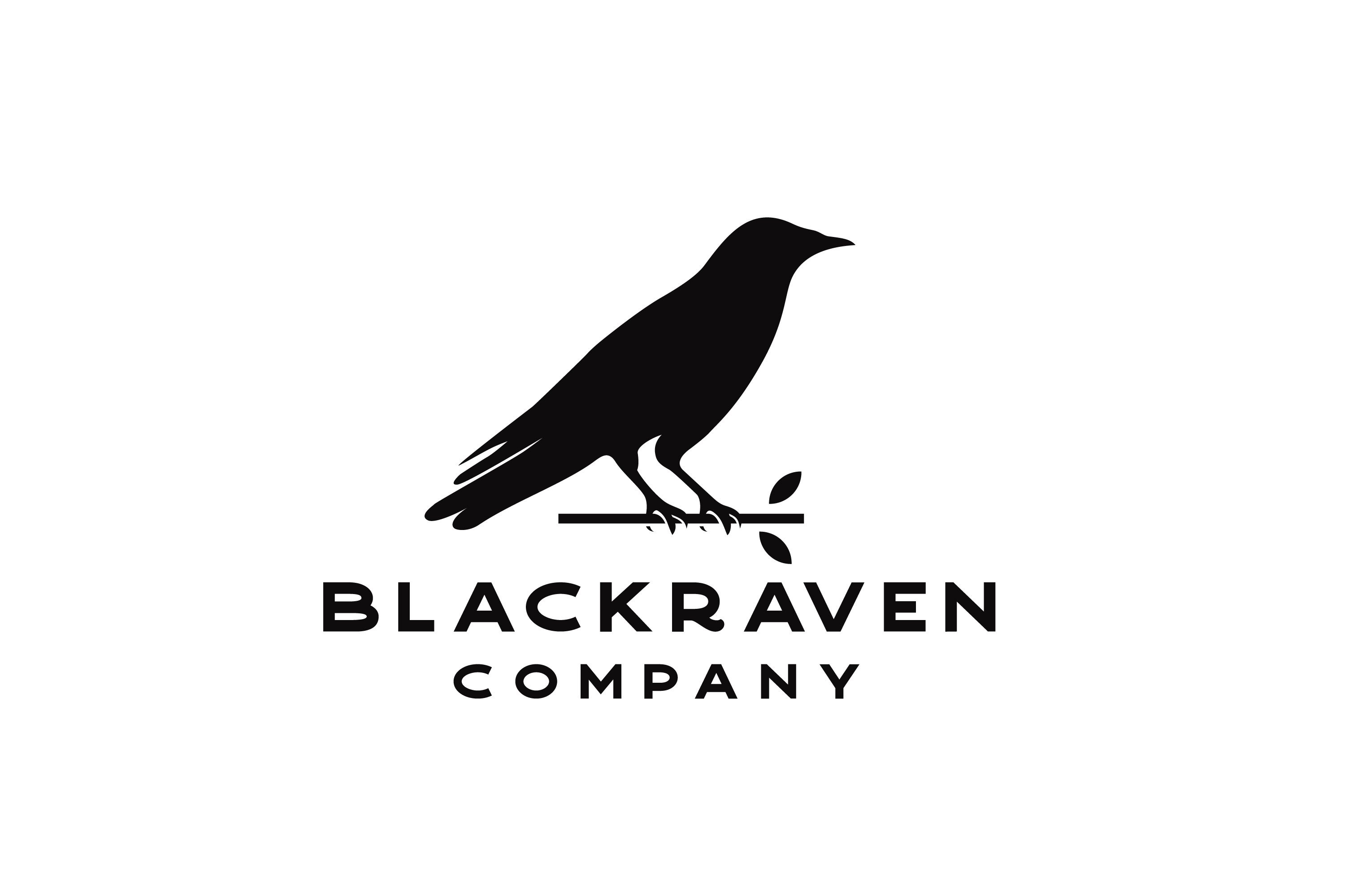 Crow Raven Silhouette Logo Design cover image.